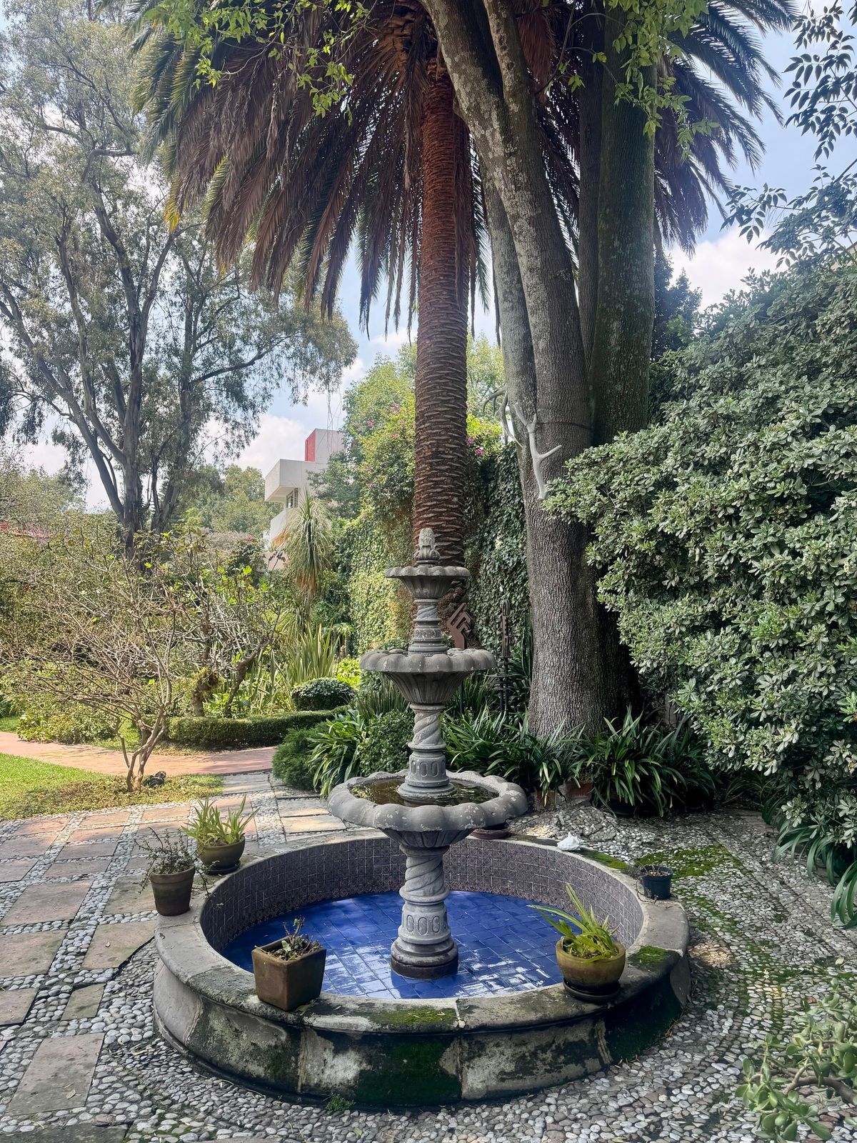 12 de 24: Linda fuente colonial