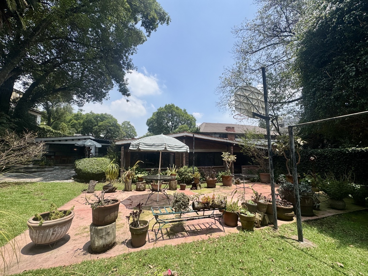 3 de 24: Jardín y casa de un solo piso