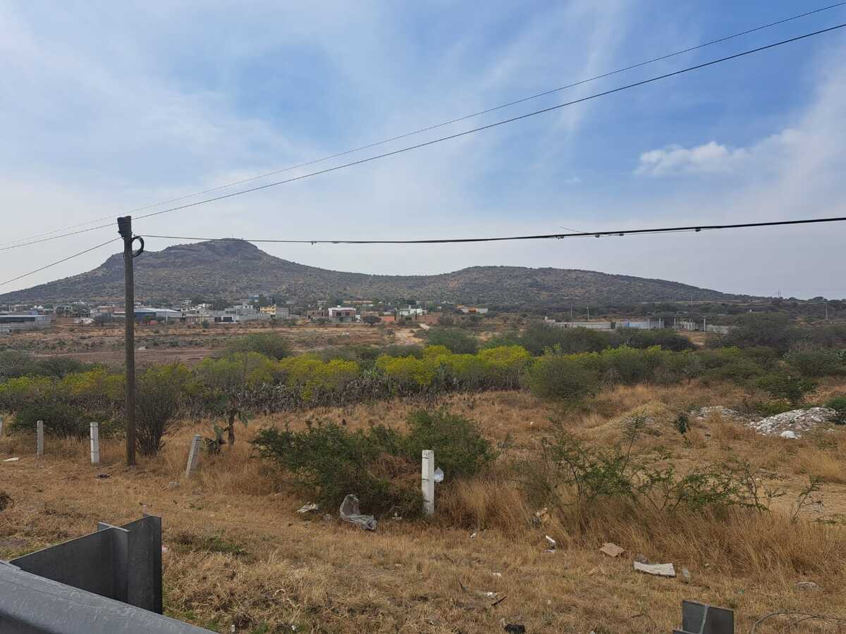 2 de 11