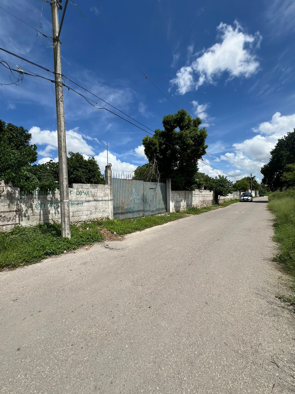 3 de 18