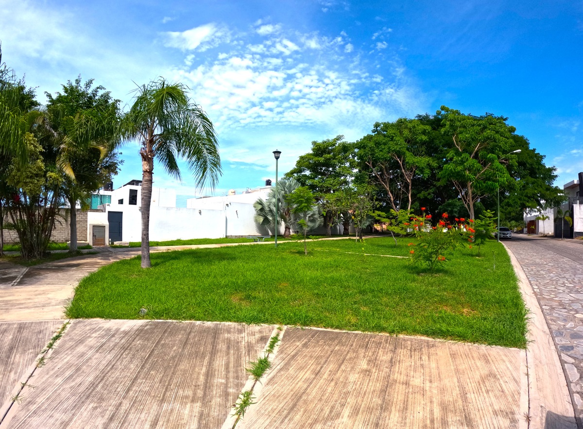 6 de 7: jardines lineales
