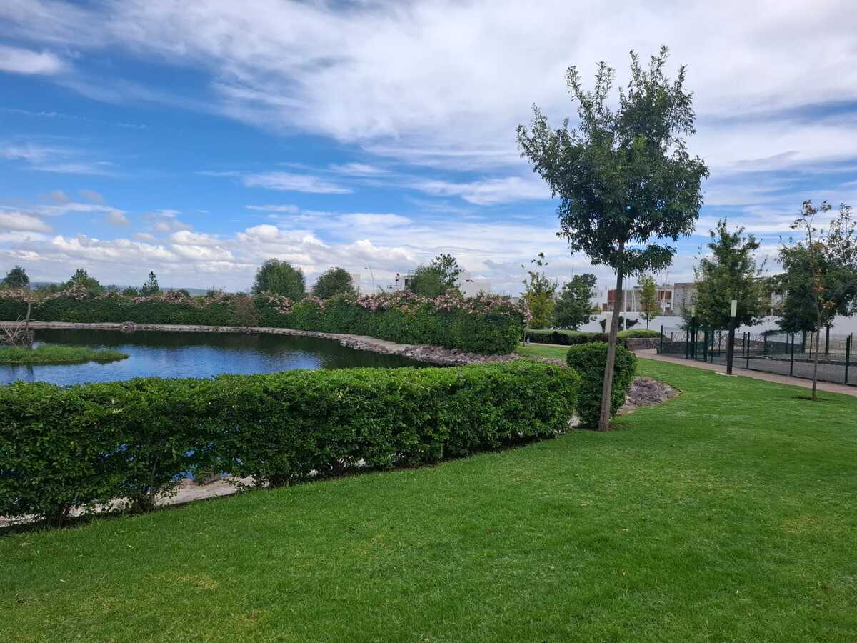 14 de 29