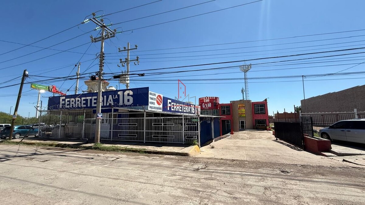 4 de 6