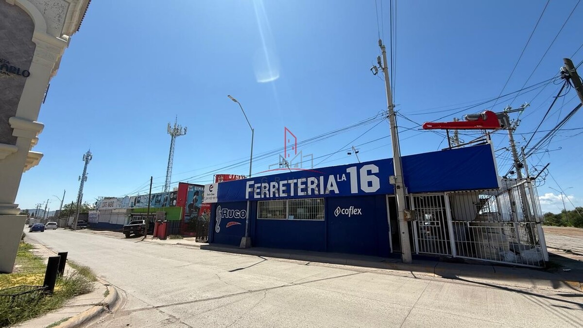 5 de 6