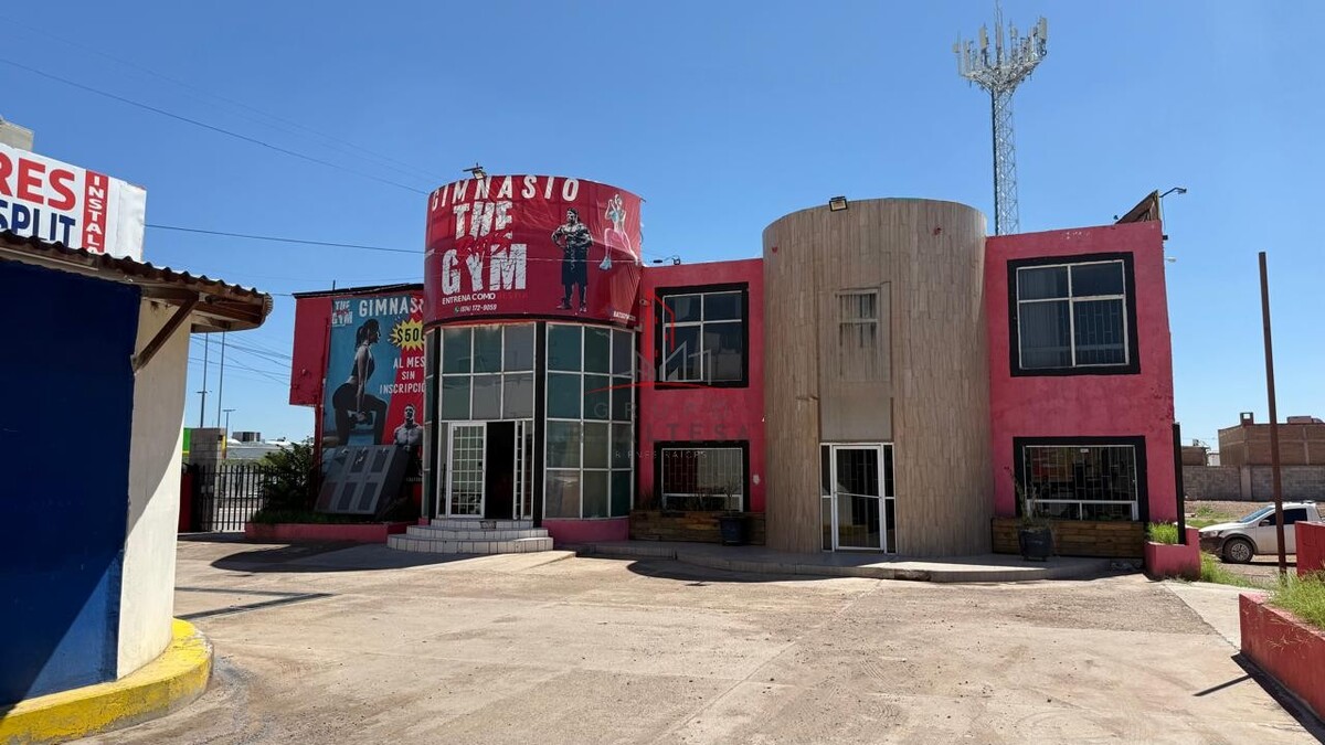 1 de 6
