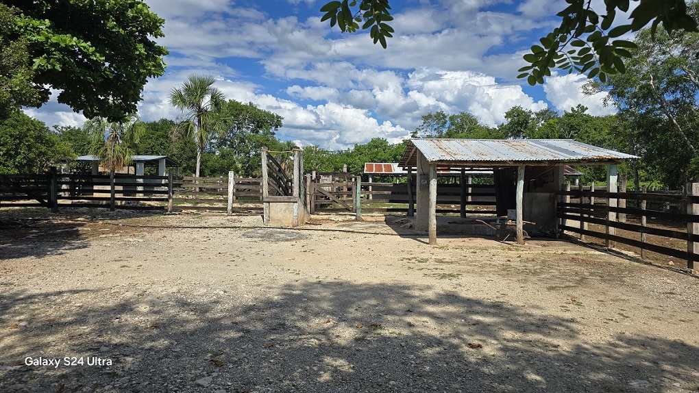 1 de 29: Corrales de manejo con buena madera
