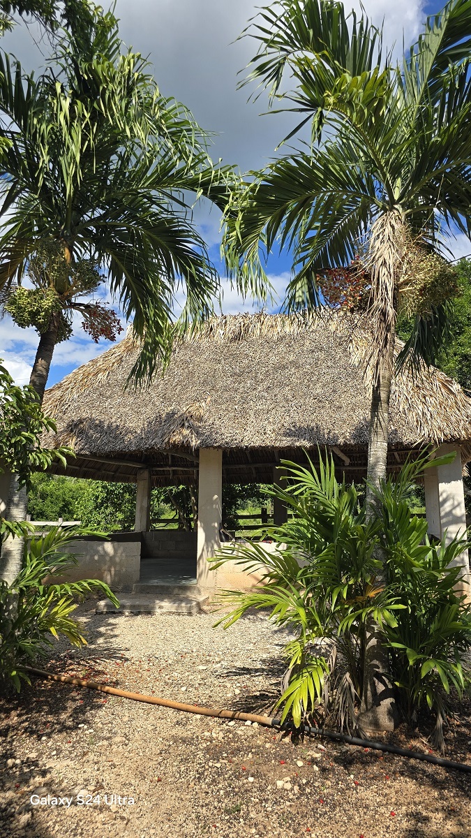 9 de 29: Palapa con buena estructura