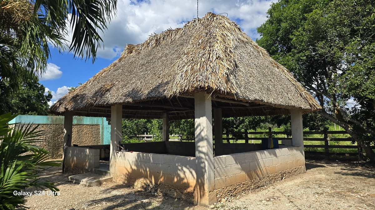 11 de 29: Otra vista de la palapa