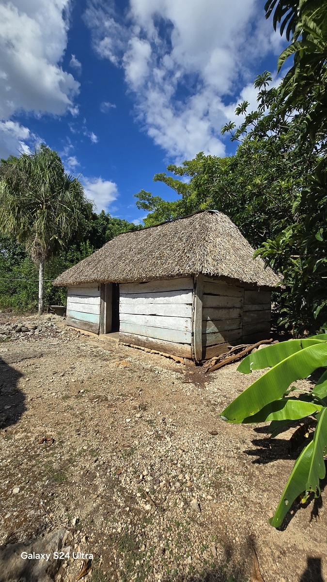 18 de 29: Otra casa de Palma