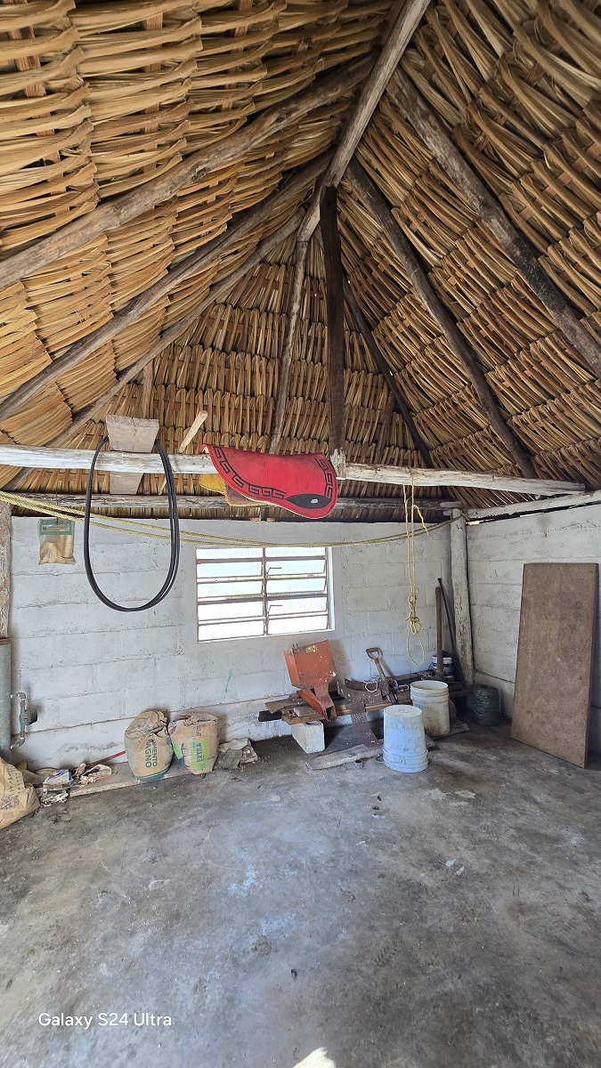 20 de 29: Otra vista de la casa de palma