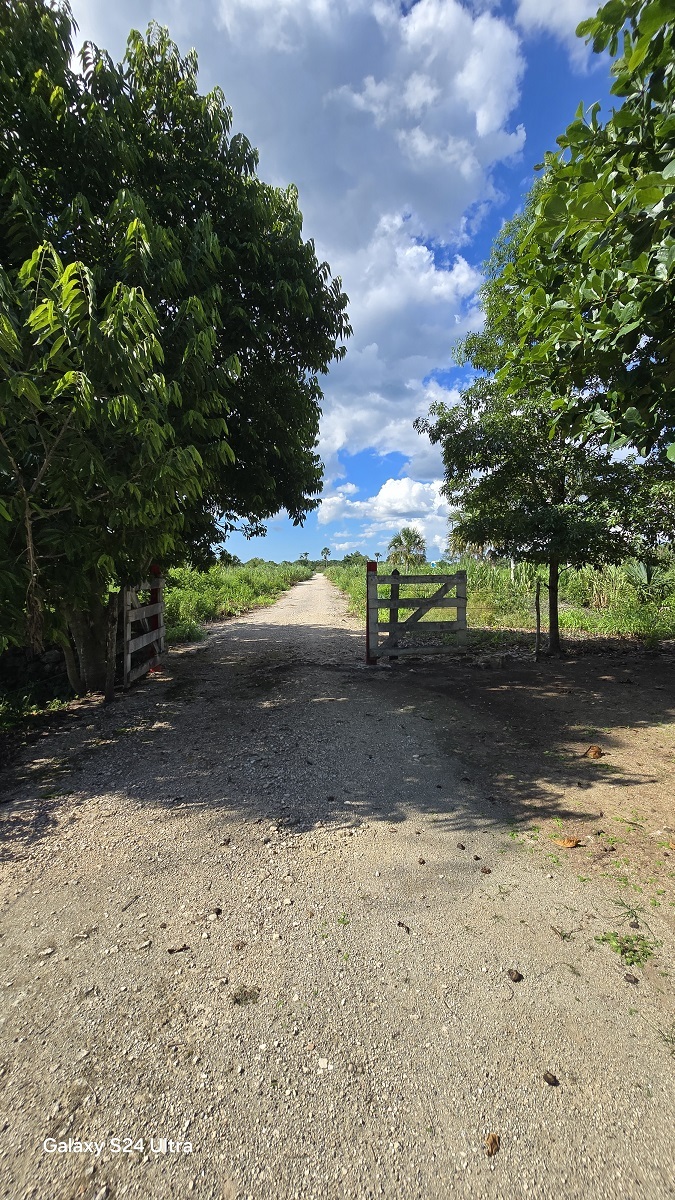 22 de 29: Camino de entrada al casco del rancho