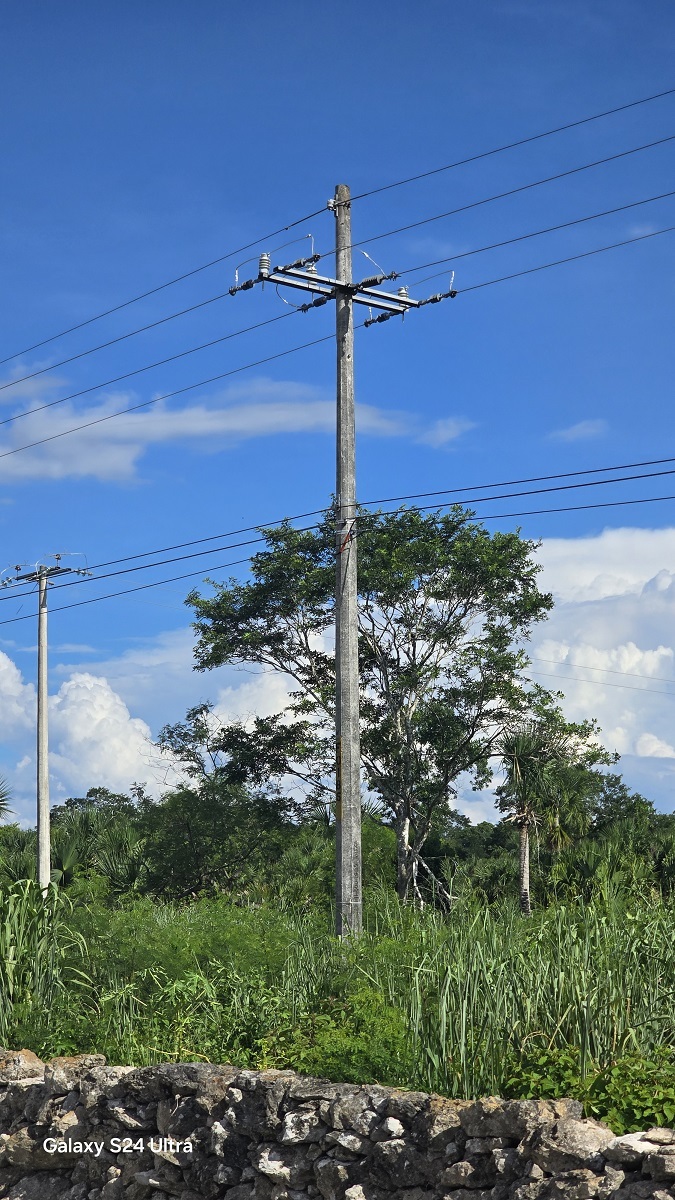 24 de 29: La linea eléctrica dentro del predio