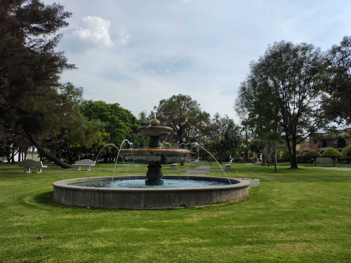 5 de 21