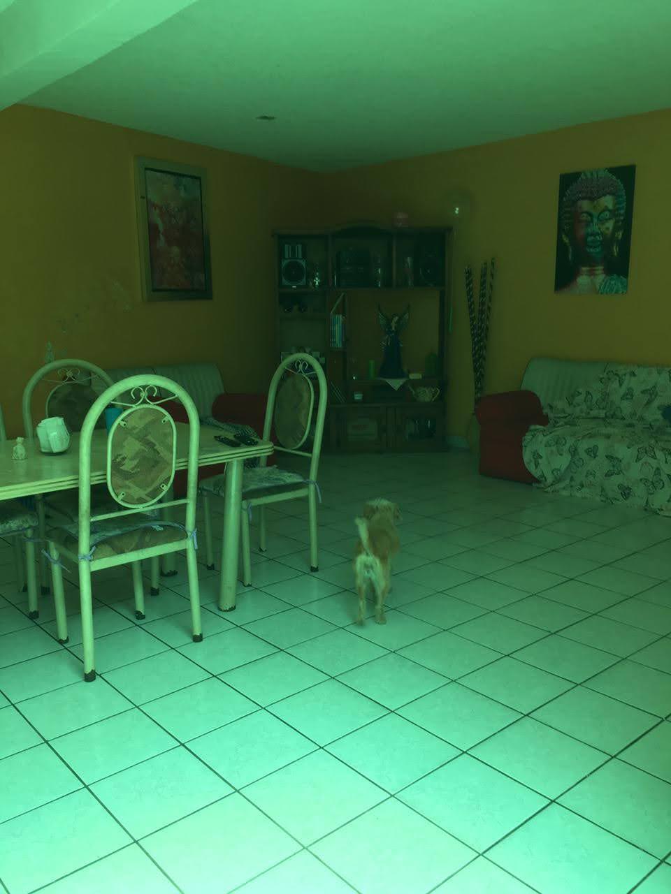 2 of 12