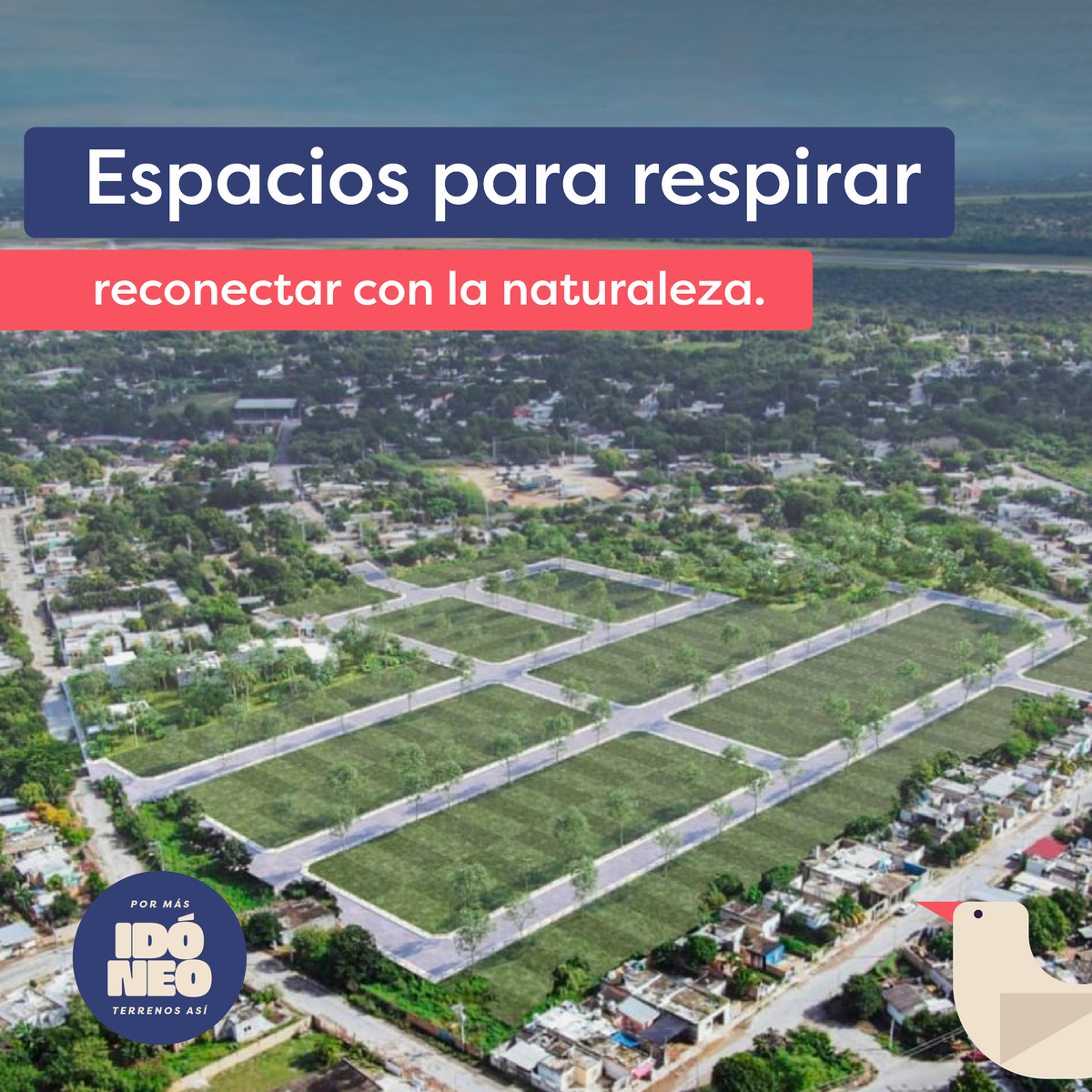 7 de 9
