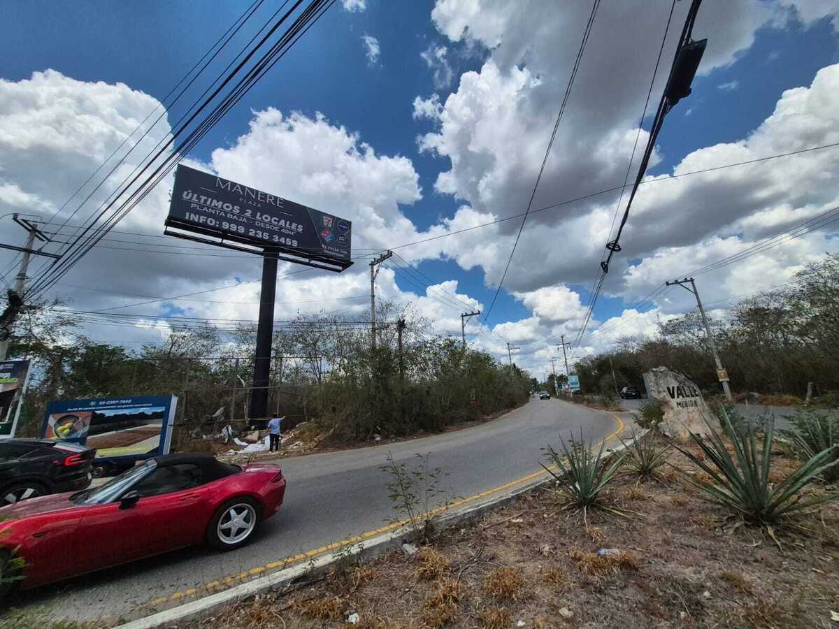 4 de 8