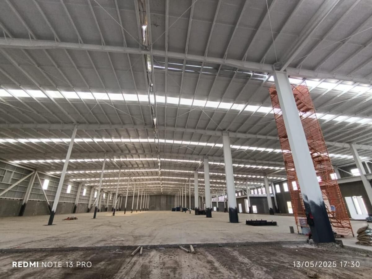 5 de 7: Imagen ilustrativa