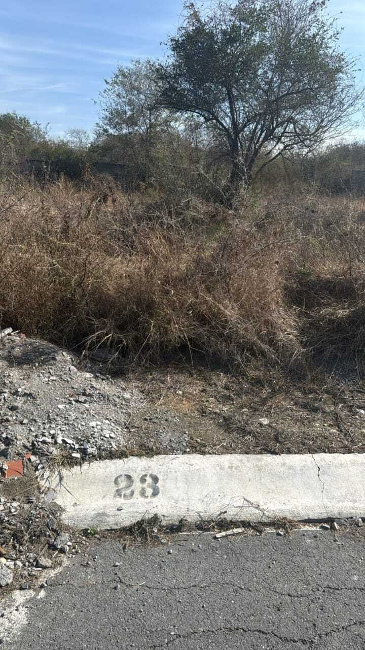 4 de 7