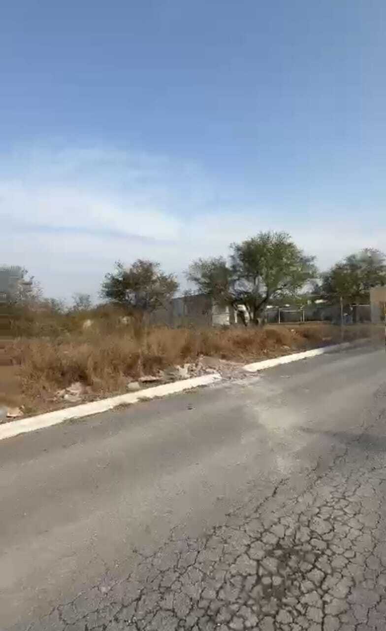 2 de 7