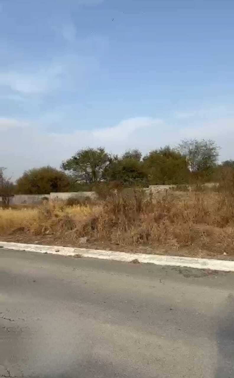 3 de 7