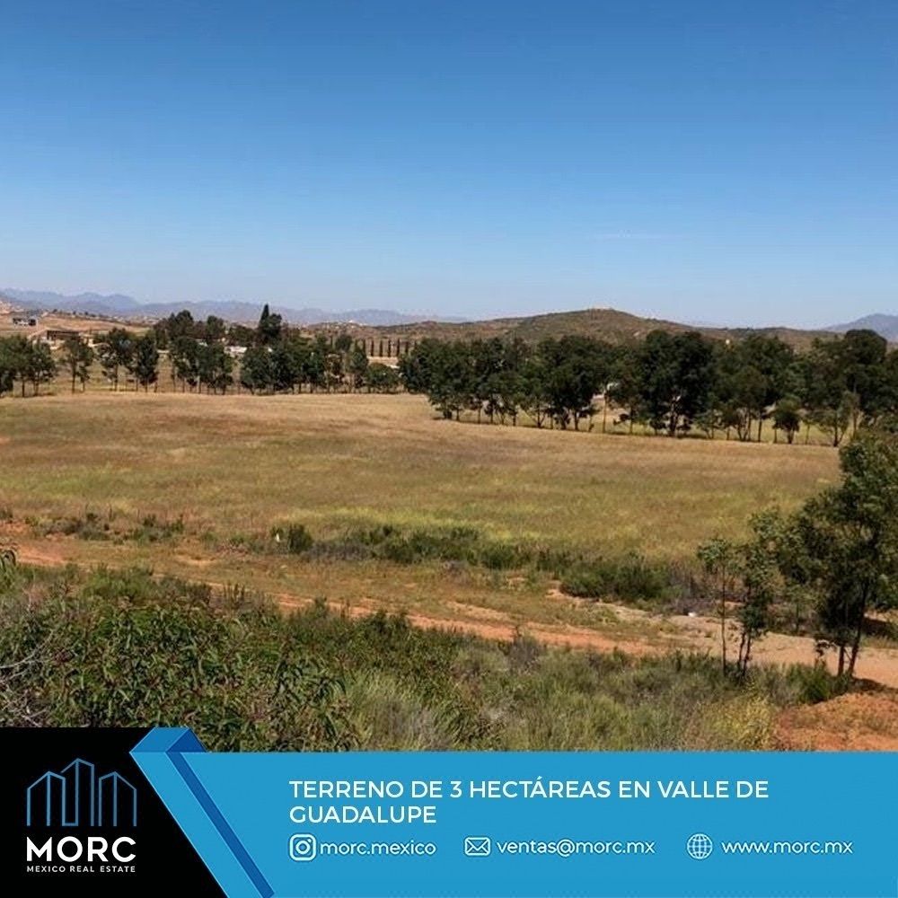 Terreno de 3 Hectáreas en Valle de Guadalupe, Ensenada, B.C.