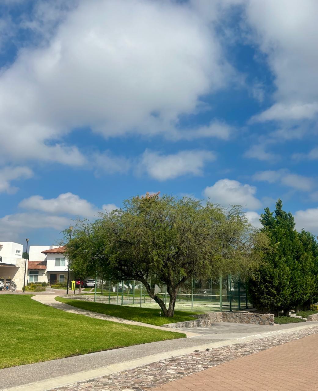 5 de 7