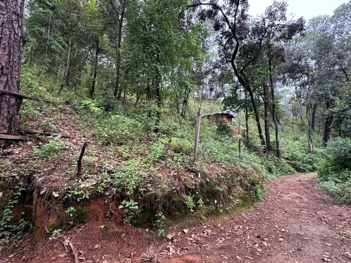 5 de 10