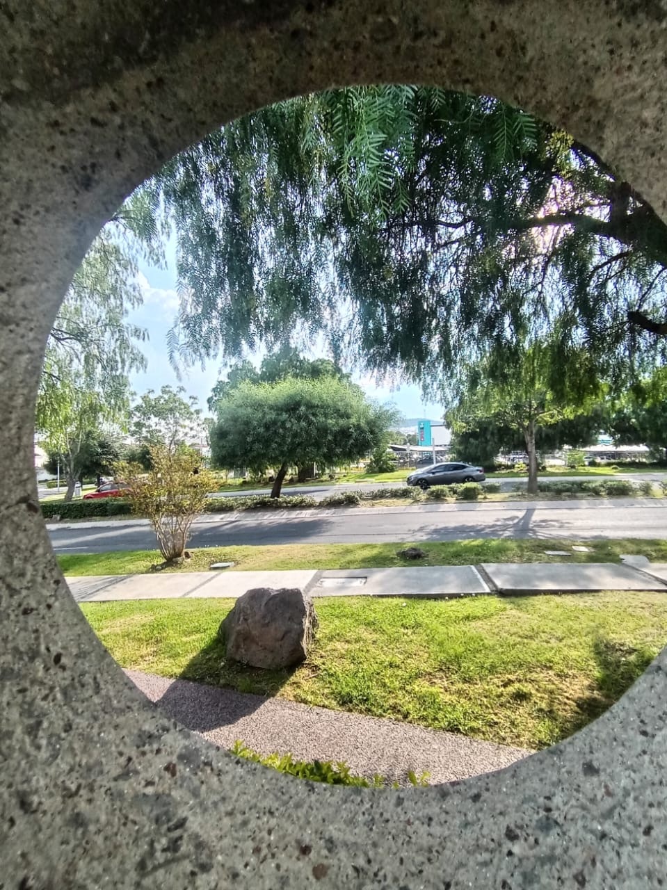 1 de 7
