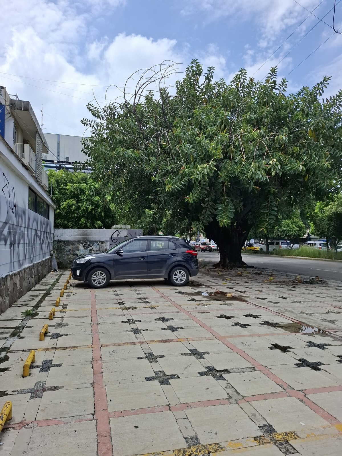 3 de 26