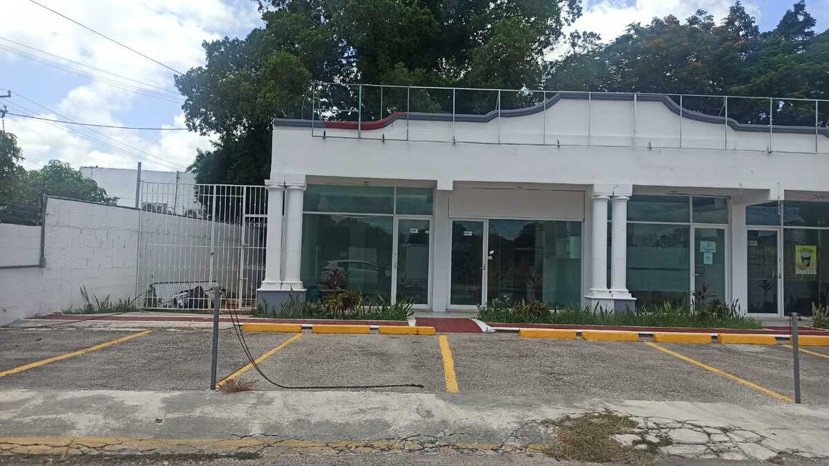 4 de 8