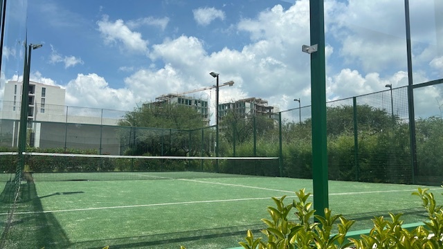 14 de 24