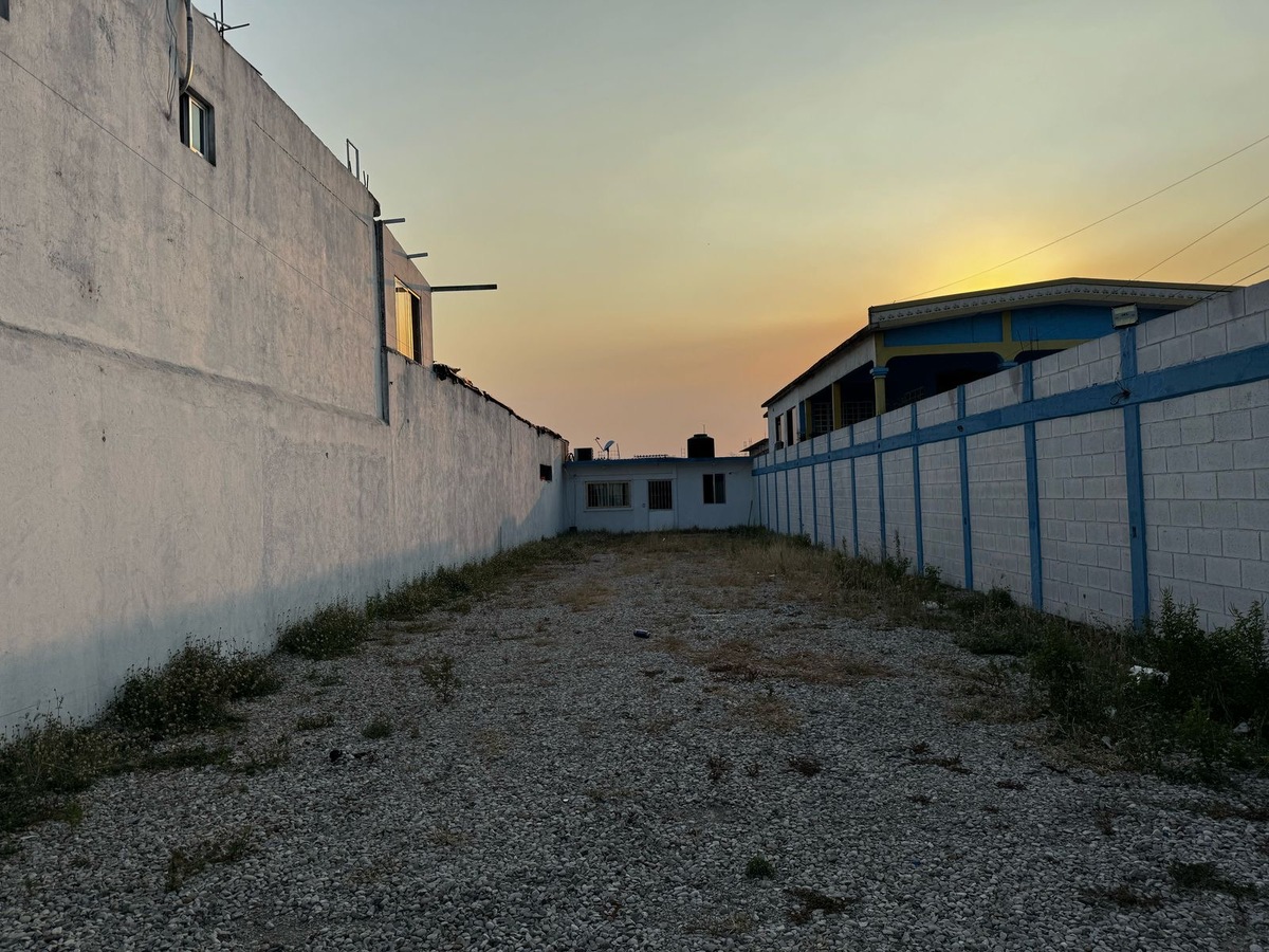 3 de 11