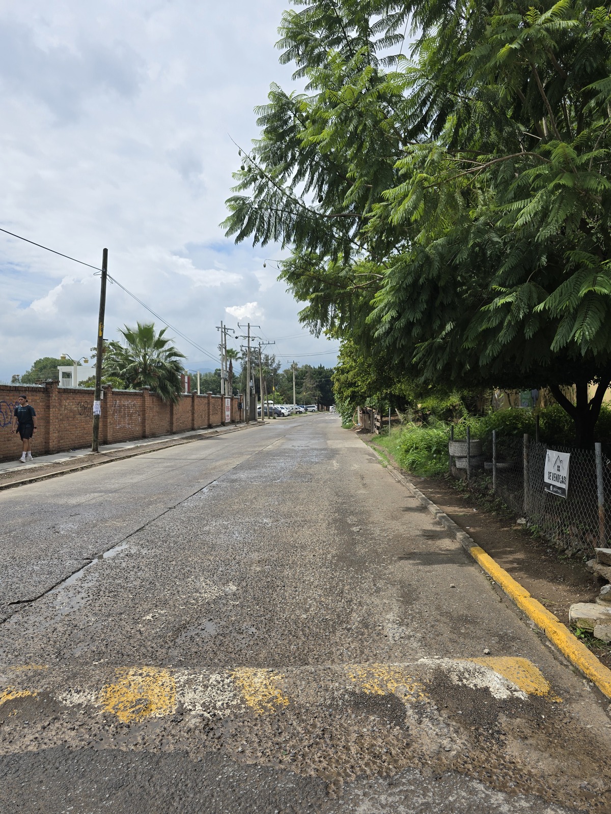 6 of 13: Calle frente a la propiedad