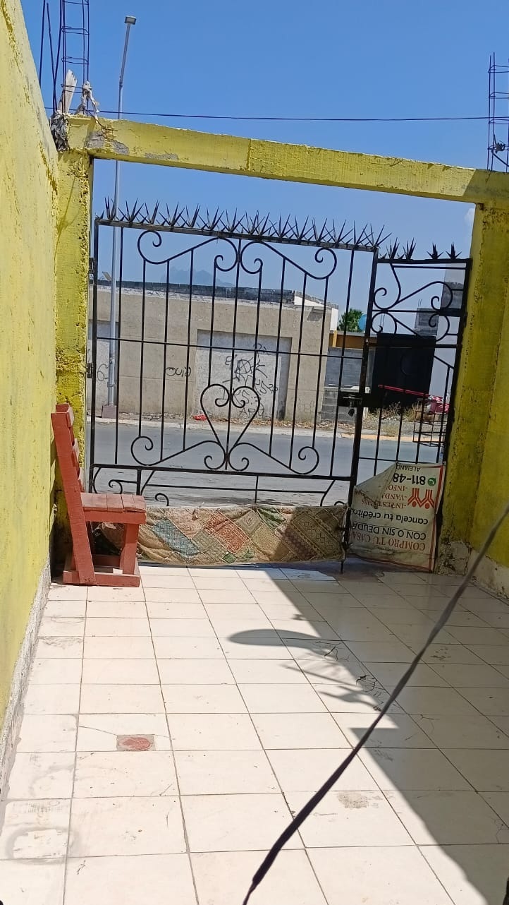 7 de 7