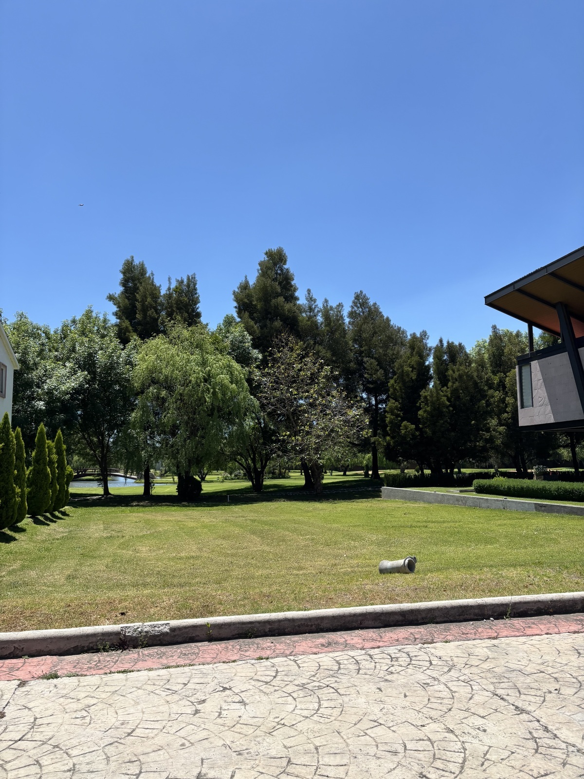 6 de 35: Imagen del desarrollo