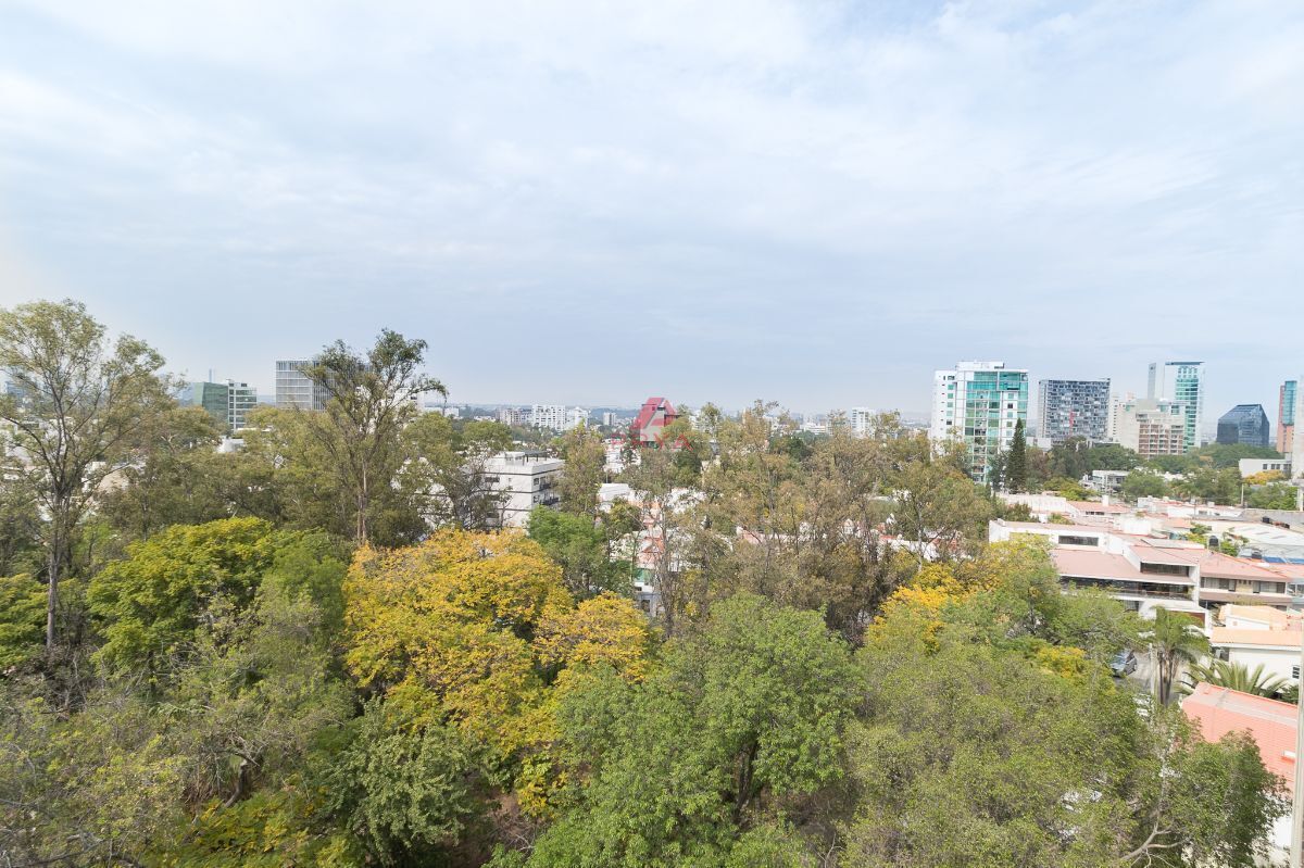 23 de 31