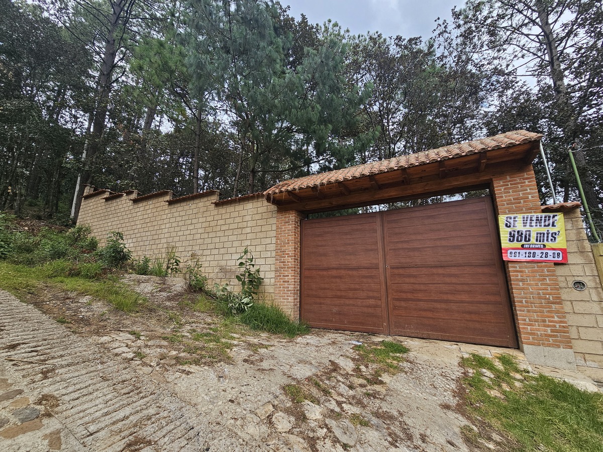 1 de 7