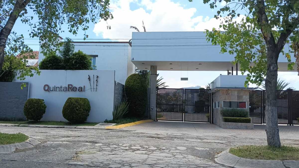 3 de 6