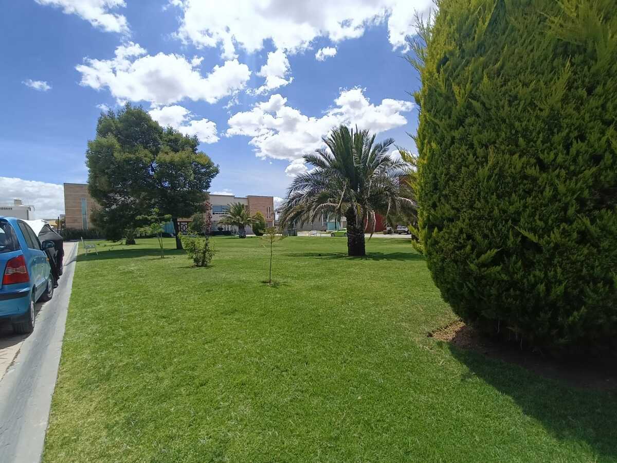 1 de 6