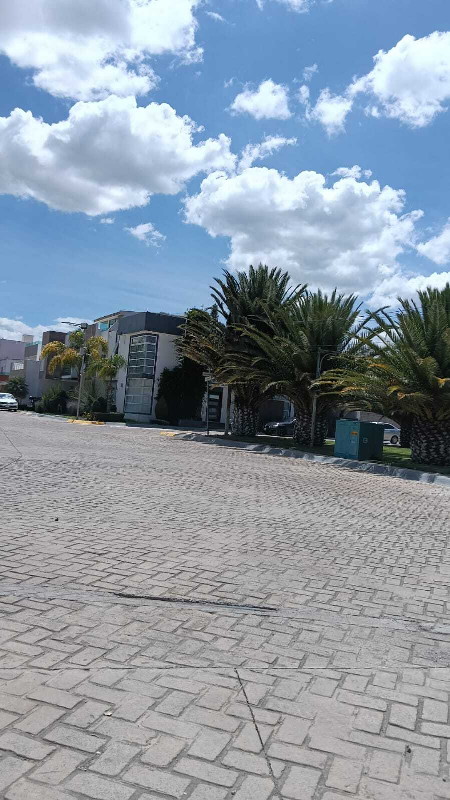 5 de 6
