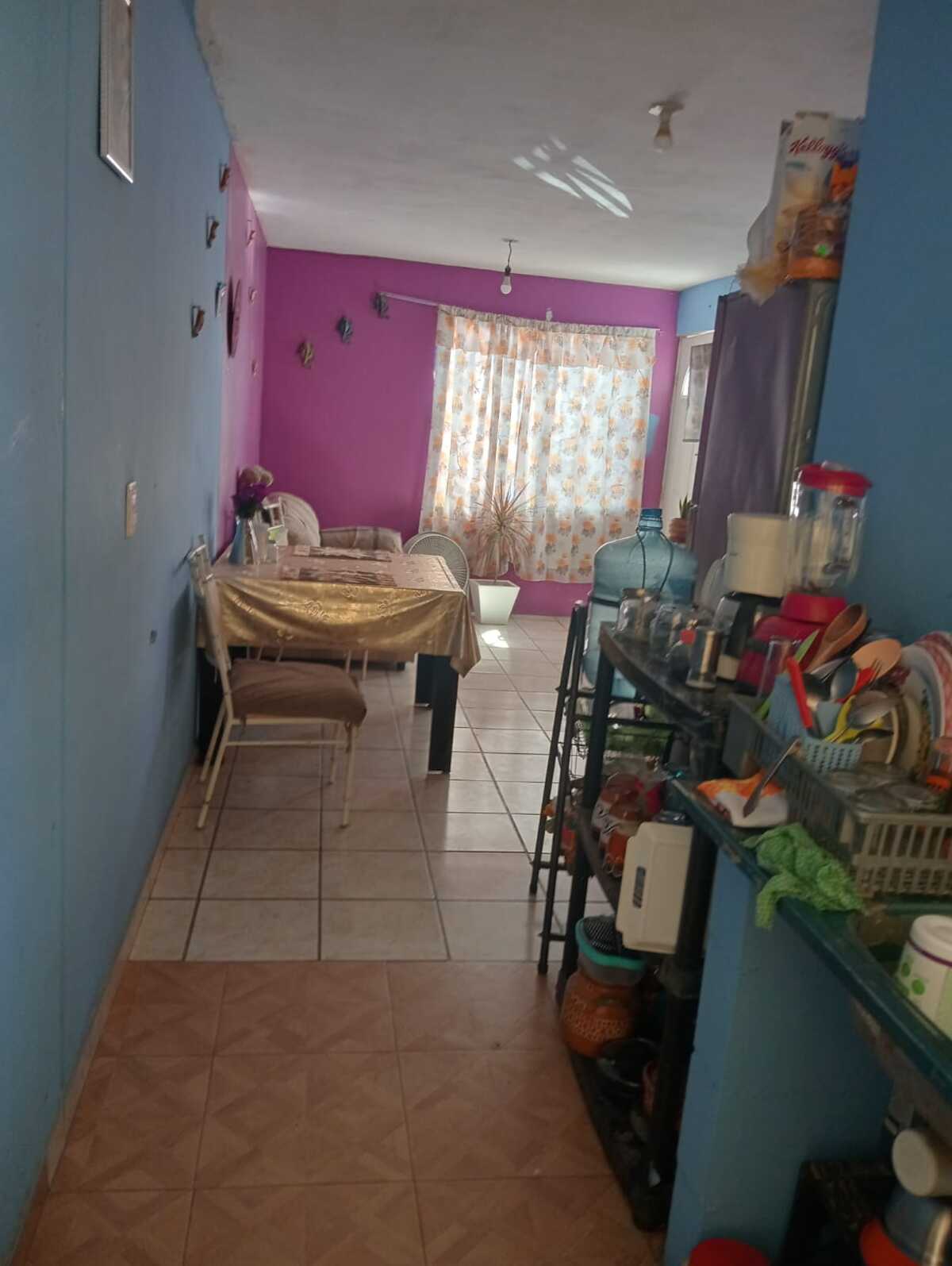 5 de 9