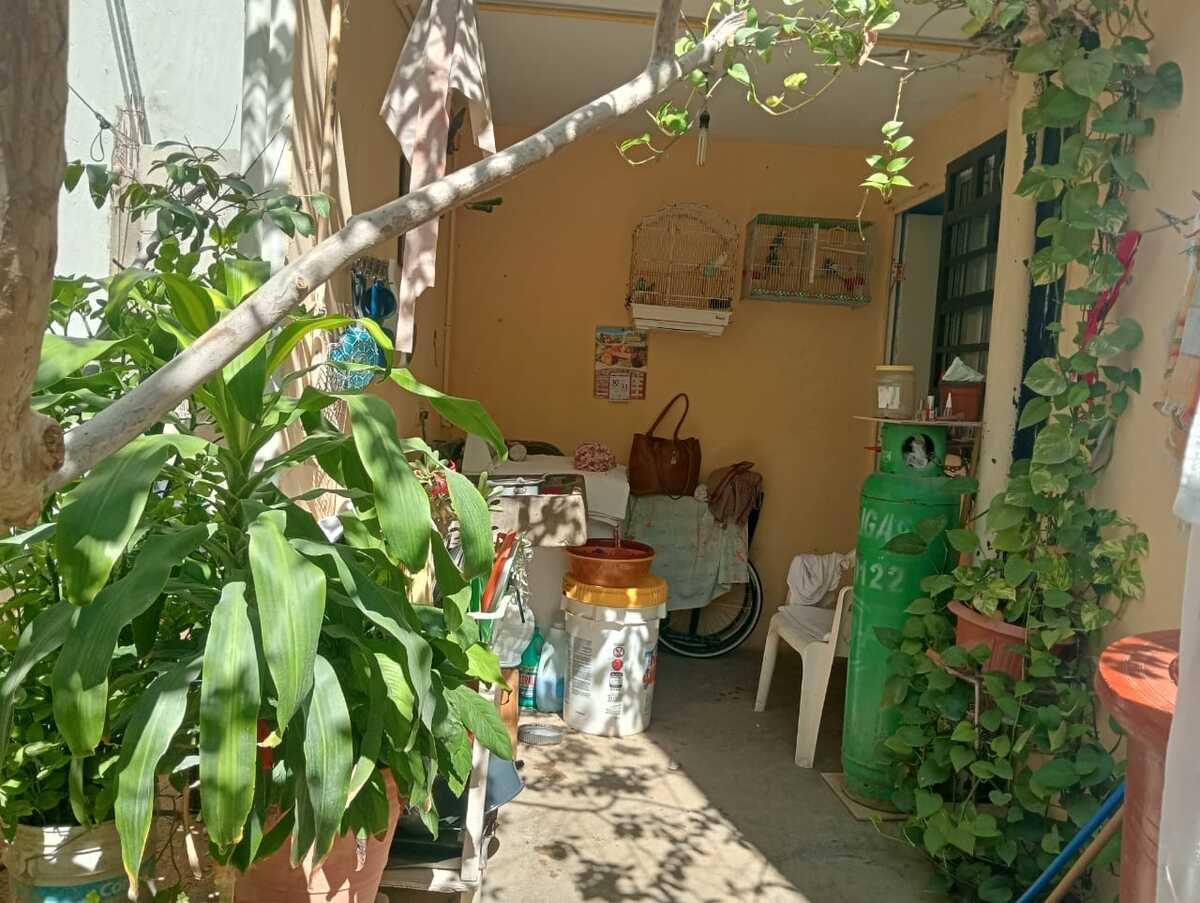 7 de 9