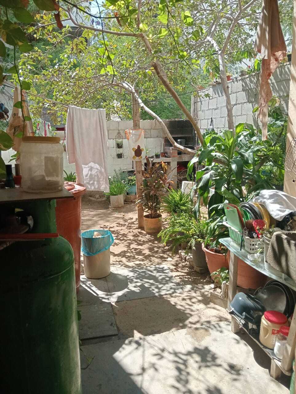 9 de 9