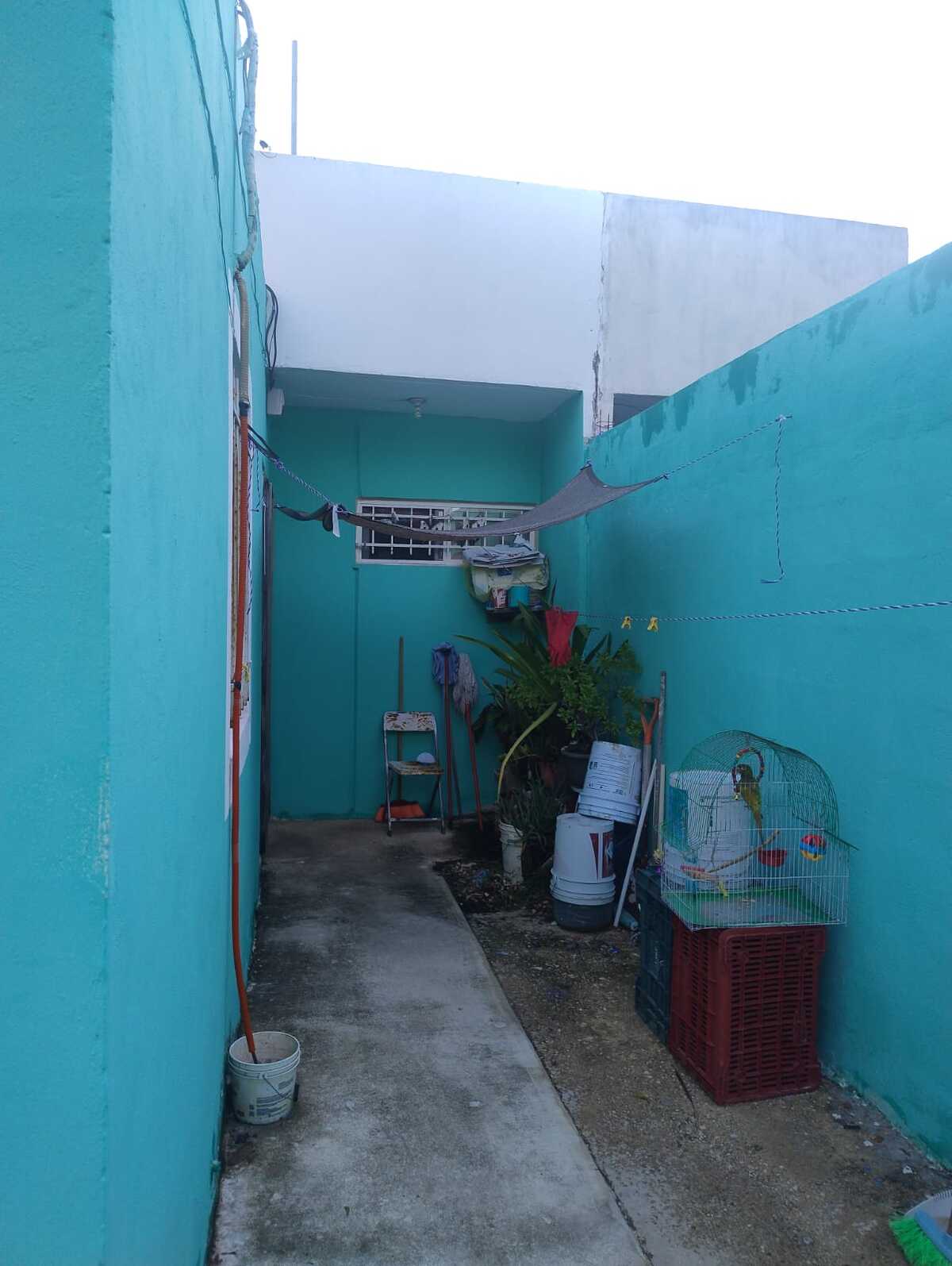 4 de 17