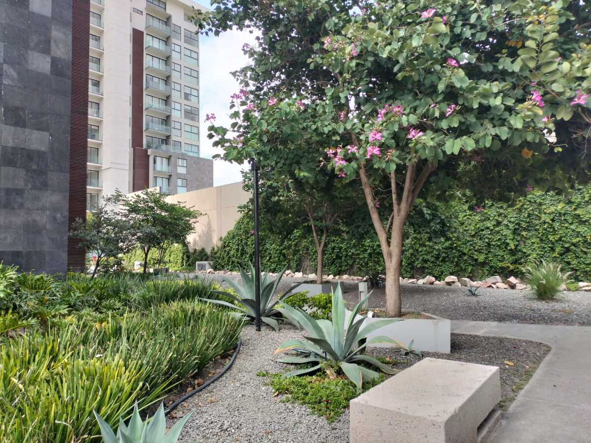 27 de 27