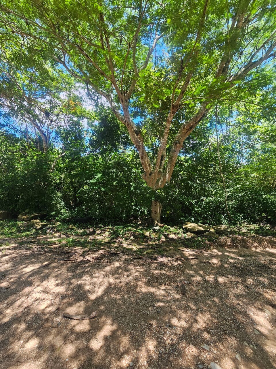 2 de 8