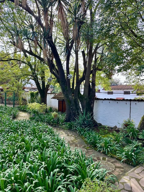 4 de 31