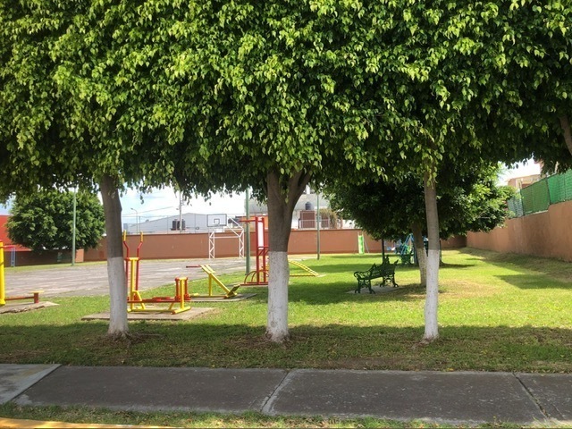 12 de 13