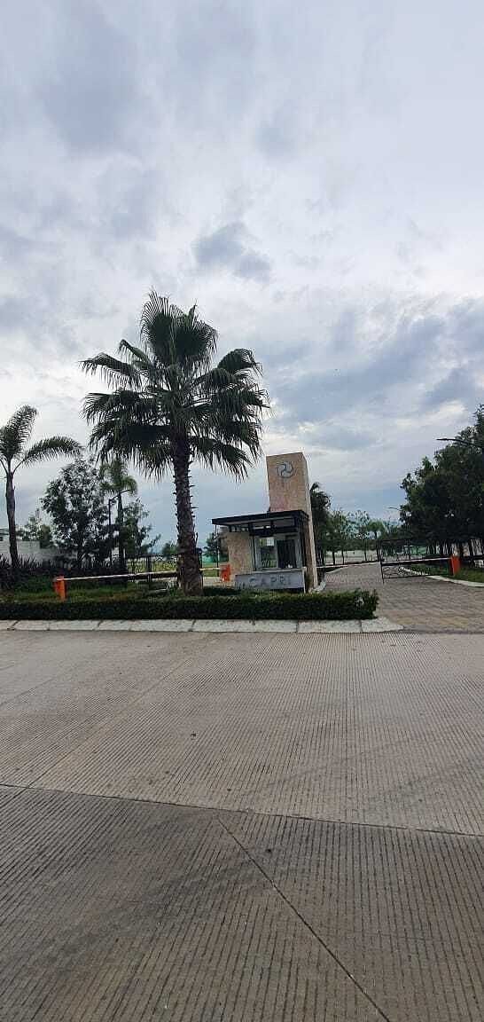 4 de 6