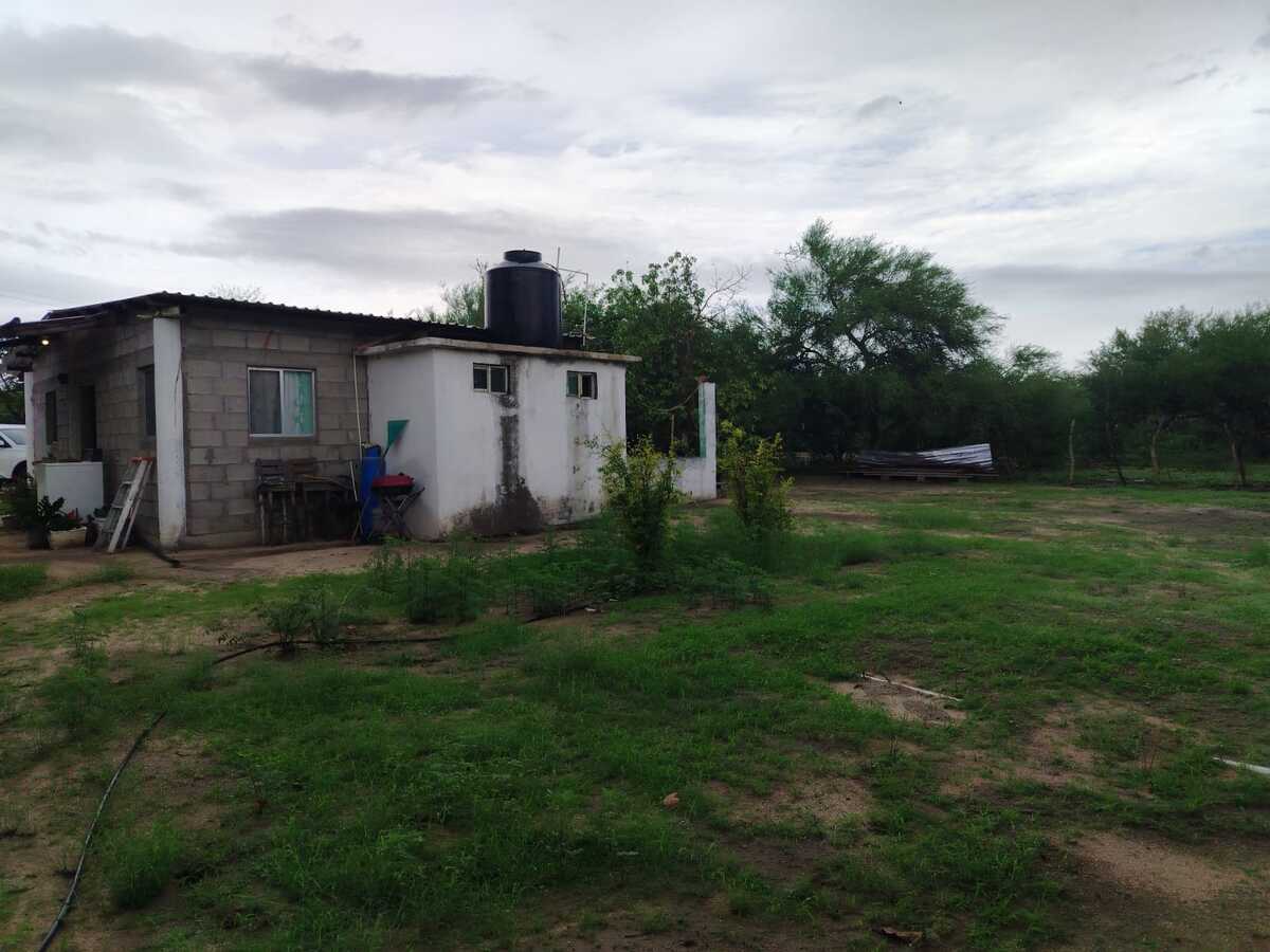 2 de 3